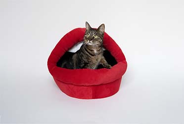Kattenhuisje Meow Mouth Rood - Sceneshot 3