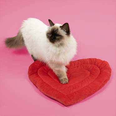 Deken Be Mine Rood - Sceneshot