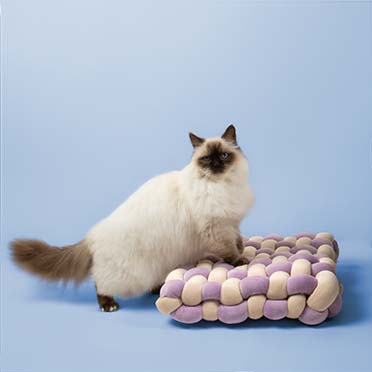 Kussen Velvet Vibe Lilac/beige - Sceneshot