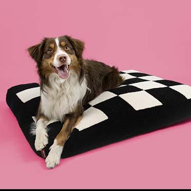 Dog cushion COZY BLOCK Black/white - Sceneshot
