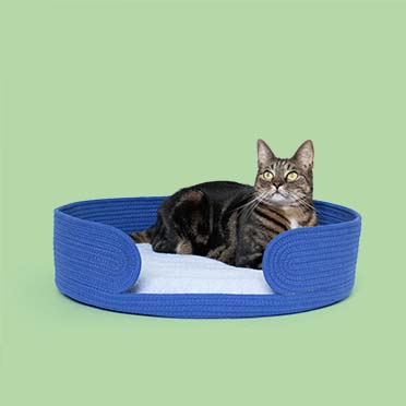 Kattenmandje LAZY LOUNGE Blauw - Sceneshot 3