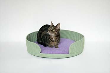 Kattenmandje LAZY LOUNGE Groen/lilac - Sceneshot 2