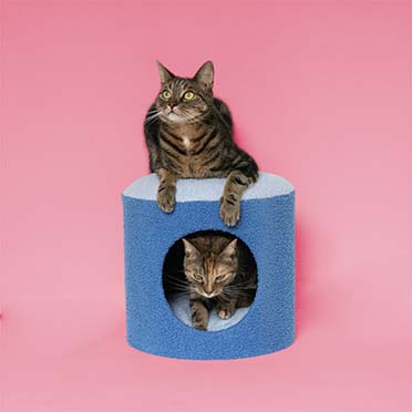 Cat house HAPPY HOUSE Blue - Sceneshot