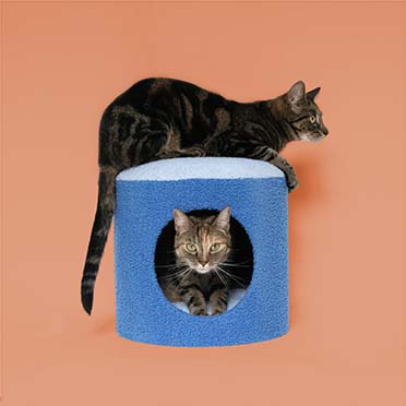 Cat house HAPPY HOUSE Blue - Sceneshot 2