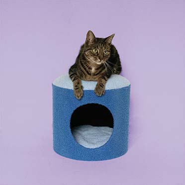 Cat house HAPPY HOUSE Blue - Sceneshot 3