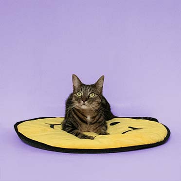 Kattenplaid BIG SMILE Geel - Laroy Group