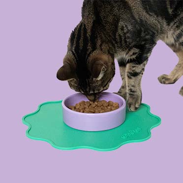 Placemat SPILL THE TEA rond Gemengde kleuren - Sceneshot