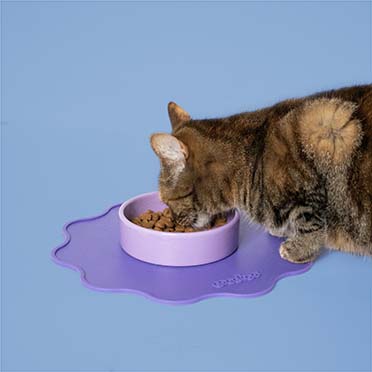 Placemat SPILL THE TEA rond Gemengde kleuren - Sceneshot 2