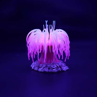 Plastic plant anemone Pink - Detail 1