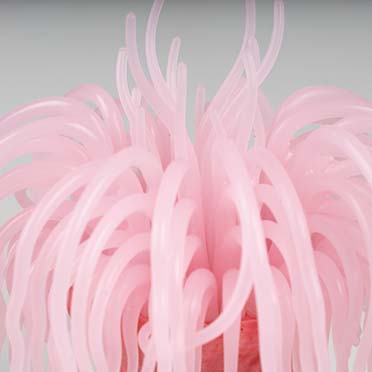 Plastic plant anemone Pink - Detail 2