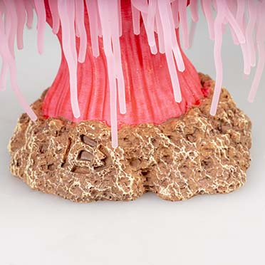 Plastic plant anemone Pink - Detail 3