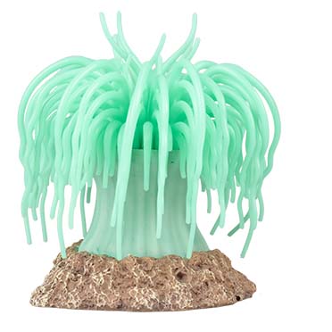 Kunstplant anemoon Groen - Facing