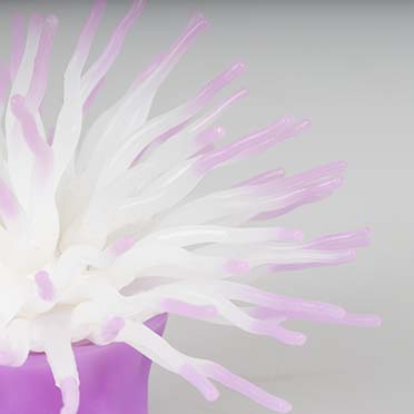 Kunstplant anemoon met zuignap Paars - Detail 3