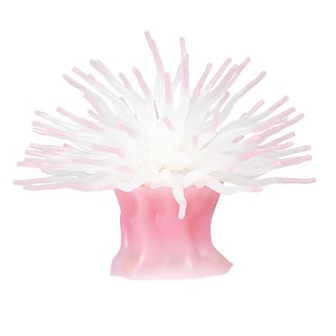 Planta artificial anémona con ventosa Rosa - Facing
