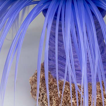 Kunstplant anemoon cerianthus Paars - Detail 3