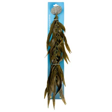 Planta artificial kelp Marrón - Verpakkingsbeeld