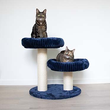 Scratching post Cordoba Dark blue - Sceneshot 2