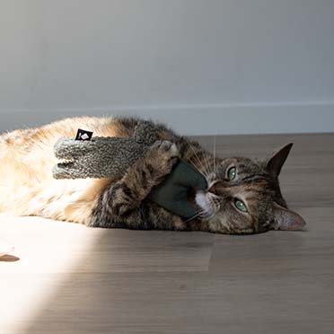 ALFIE cat toy Green - Sceneshot