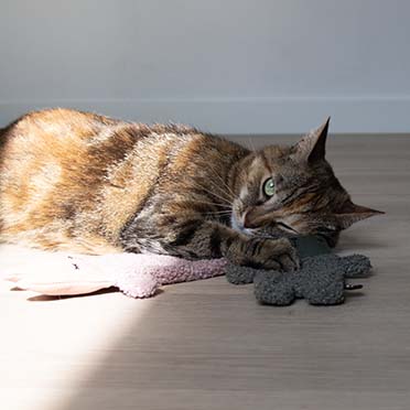ALFIE cat toy Green - Sceneshot 3