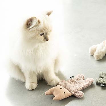 Jouet pour chat ALFIE Rose - Sceneshot 3
