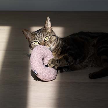 Kattenspeeltje MAPLE Roze - Sceneshot