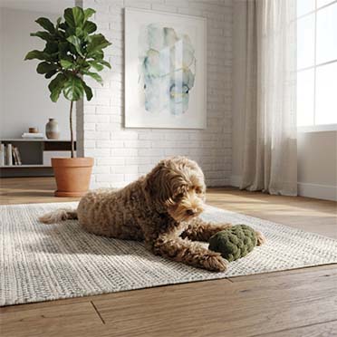 Jouet en corde Teddy Roll BIBI - Sceneshot