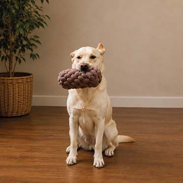 Jouet en corde teddy roll bibi Brun - Sceneshot