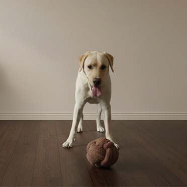 Touwspeeltje Teddy Ball PUCK Bruin - Sceneshot