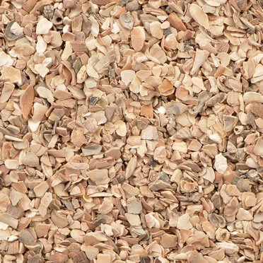 Oyster shells coarse 2-5mm nr1 p50 - Product shot