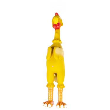 Latex toy pop up funny chicken multicolour - Product shot