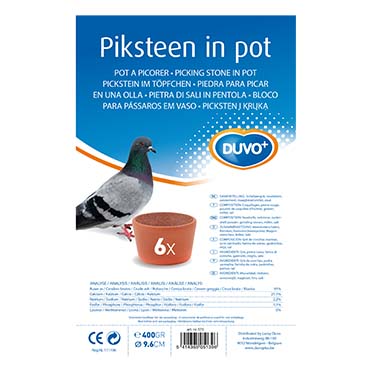 Piksteen in pot duvoplus tray 6 st p200x6 - Verpakkingsbeeld