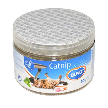 Catnip kruid - Product shot