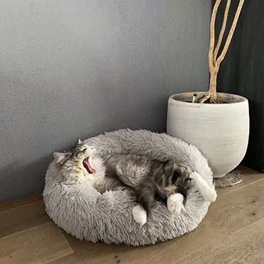 Long fur pet bed light grey - Sceneshot