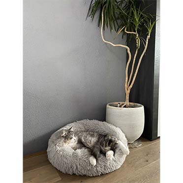 Long fur pet bed light grey - Sceneshot 2