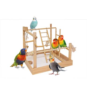 3 in 1 bird playground - Sceneshot