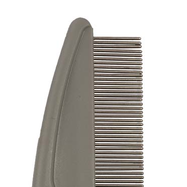 Flea comb - Detail 1