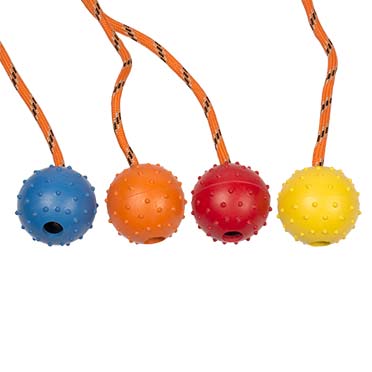 Rubber Dental Ball With Rope gemischte farben - Product shot