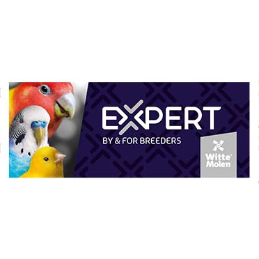 Topcard sticker expert bird - Product shot