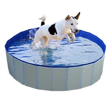 Hondenzwembad blauw - Sceneshot