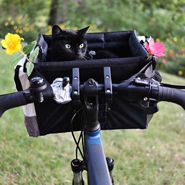 Dog bike bag for handlebar black - Sceneshot