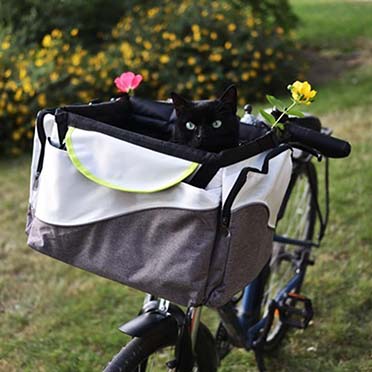 Dog bike bag for handlebar black - Sceneshot 2