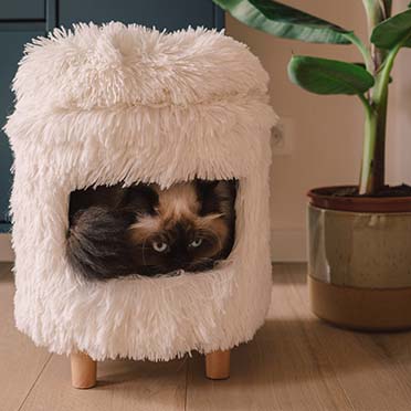 Kattenhuis met lange plush wit - Sceneshot