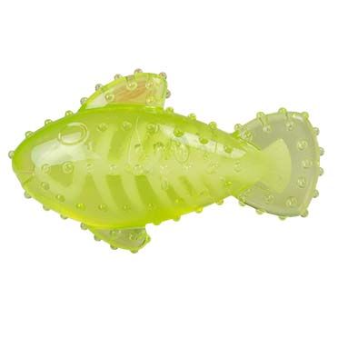 CHEW `N PLAY FISH groen - Product shot