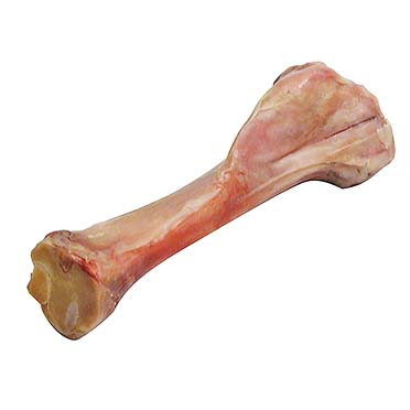 Italian ham bone medio - Product shot