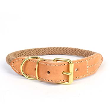 Explor forest collar nylon taupe - <Product shot>