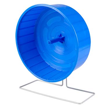 Roue d'activité en plastique bleu - <Product shot>