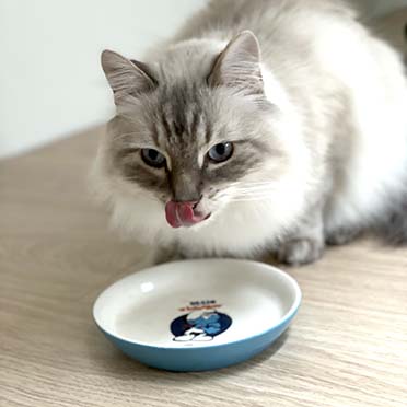 Hefty smurf low feeding bowl white/blue - Sceneshot 2