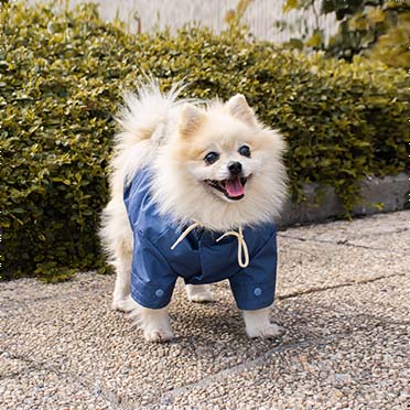 Dog raincoat parka blue - Sceneshot 2