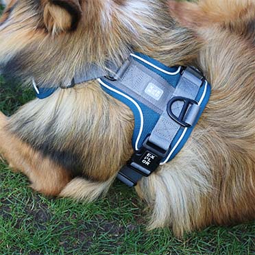 Adventure No Pull Dog Harness