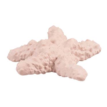 Eco rubber starfish pink - Product shot